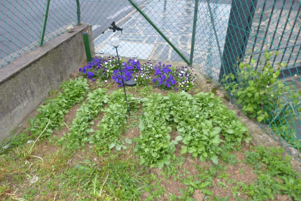 B & B Ametista Bergamo Ponteranica Zewnętrze zdjęcie