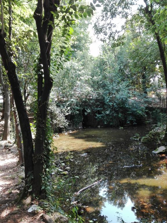 B & B Ametista Bergamo Ponteranica Zewnętrze zdjęcie