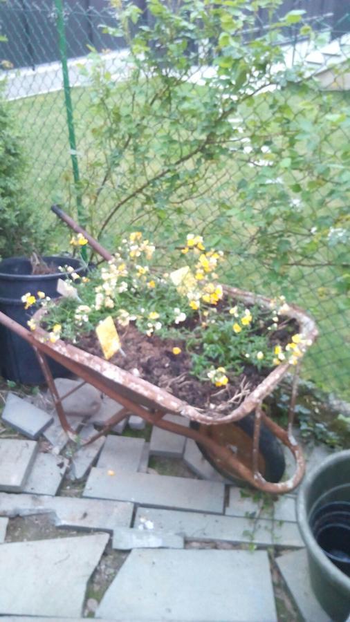 B & B Ametista Bergamo Ponteranica Zewnętrze zdjęcie
